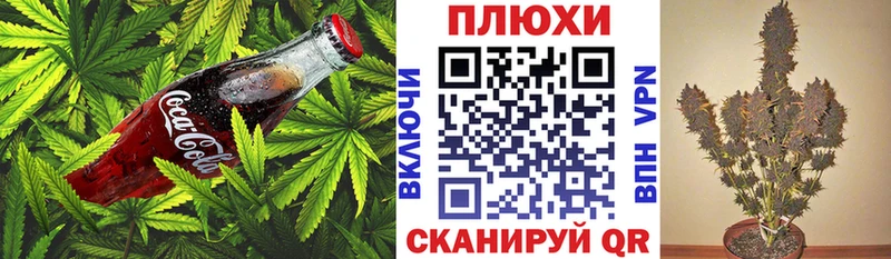 Еда ТГК марихуана  закладки  Суджа 