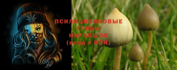 соль ск Лабытнанги