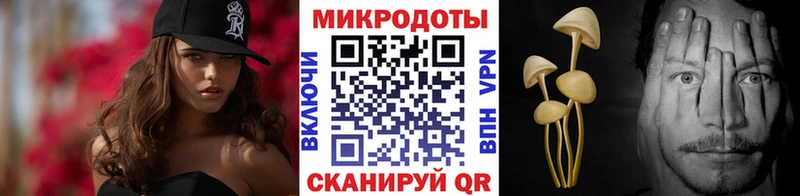 Псилоцибиновые грибы мухоморы  купить наркоту  Суджа 